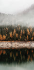Foggy Autumn Forest Near the Lake Poster - Posterbox.dk
