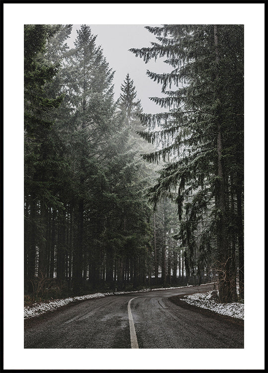 Forest Road in Winter Poster - Posterbox.dk
