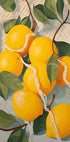 Fresh Lemons in Netting, Citrus Fruit Poster - Posterbox.dk