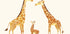 Giraffe Family Trio In Warm Tones Poster - Posterbox.dk