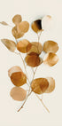 a group of leaves on a white background