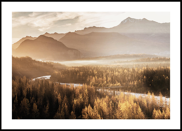 Golden Morning in the Valley Poster - Posterbox.dk