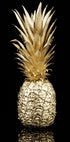 Golden Pineapple Poster - Posterbox.dk