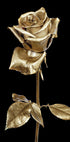 Golden Rose Poster - Posterbox.dk