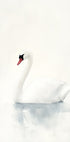 Graceful Swan Poster - Posterbox.dk
