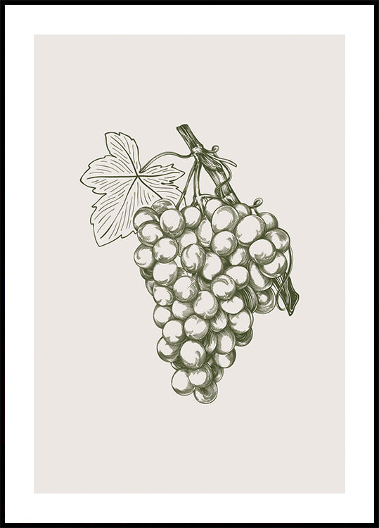 Grape Botanical Poster - Posterbox.dk