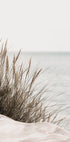 Grass by the Sea Poster - Posterbox.dk