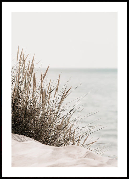 Grass by the Sea Poster - Posterbox.dk
