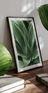Green Agave Leaves Poster - Posterbox.dk