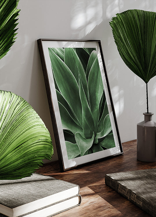 Green Agave Leaves Poster - Posterbox.dk