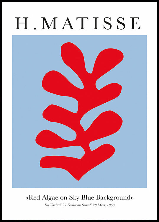 H.Matisse Red Algae on Sky Blue Background Poster - Posterbox.dk