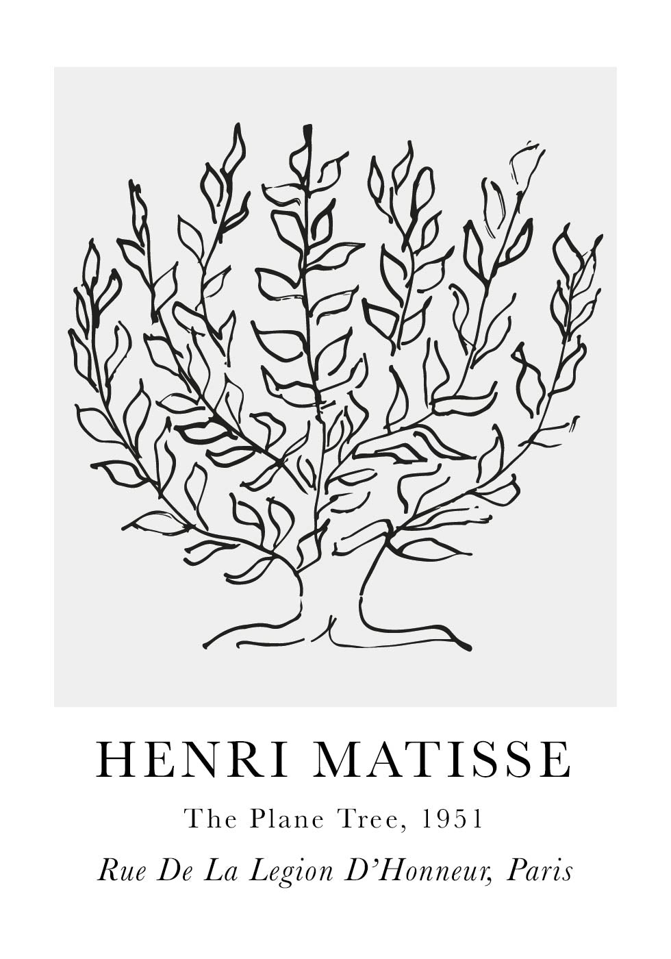 H. Matisse The Plane Tree Poster - Posterbox.dk