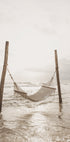 Hammock on a Tropical Beach Poster - Posterbox.dk