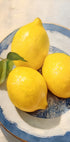 Lemon Still Life, Blue Rimmed Plate Poster - Posterbox.dk