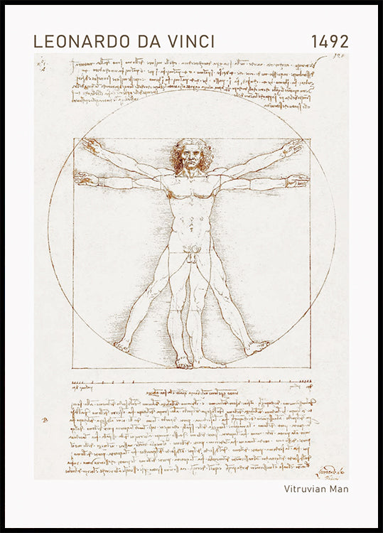 Leonardo da Vinci, Vitruvian Man Poster - Posterbox.dk