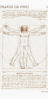 Leonardo da Vinci, Vitruvian Man Poster - Posterbox.dk