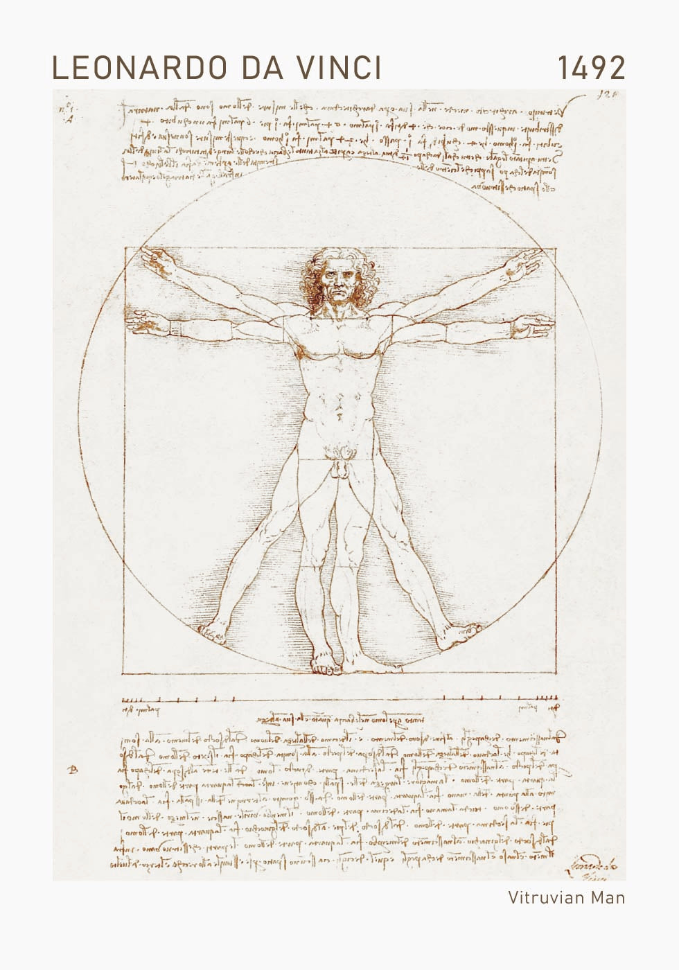 Leonardo da Vinci, Vitruvian Man Poster - Posterbox.dk