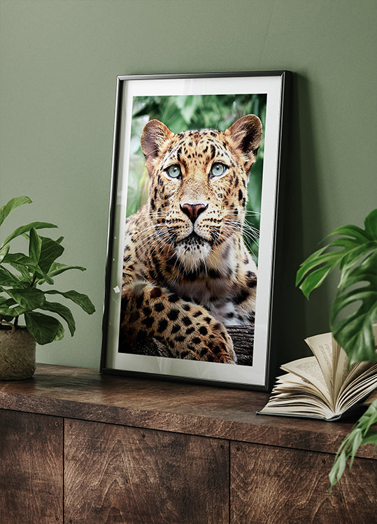 Leopard Close-Up Poster - Posterbox.dk