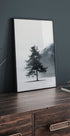 Lone Pine Tree in Foggy Field Poster - Posterbox.dk