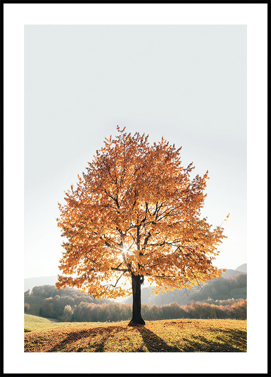 Majestic Autumn Tree Poster - Posterbox.dk