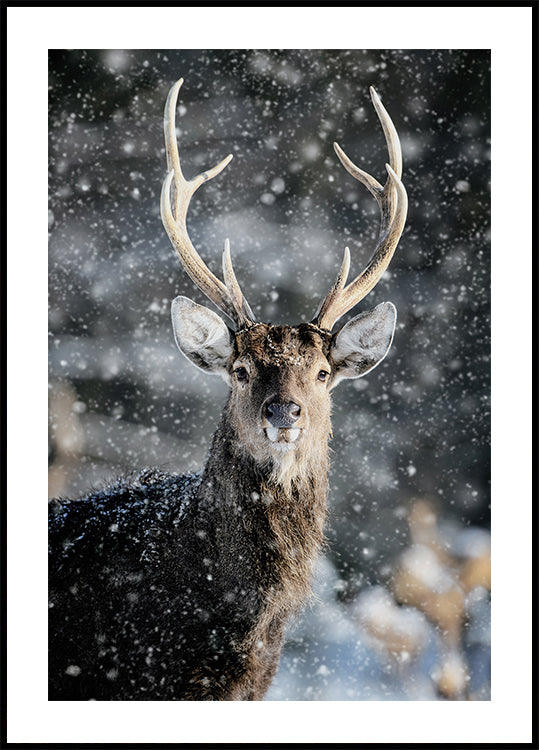 Majestic Deer in Snow №2 Poster - Posterbox.dk