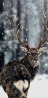 Majestic Deer in Snow Poster - Posterbox.dk