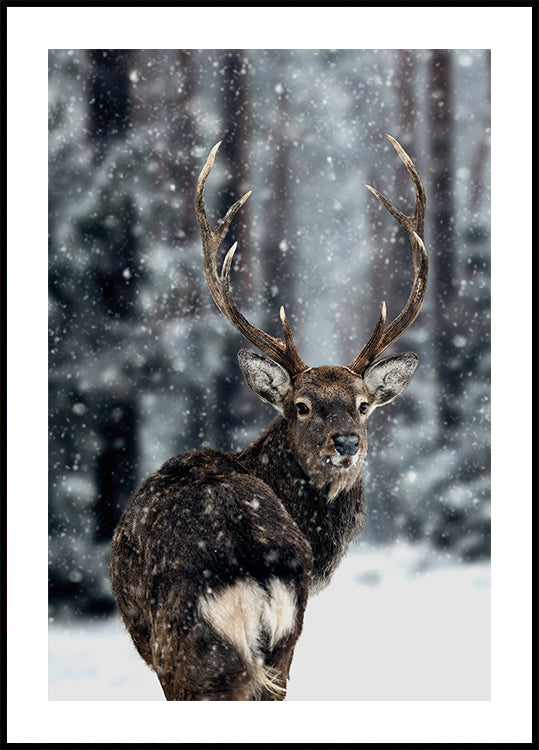 Majestic Deer in Snow Poster - Posterbox.dk