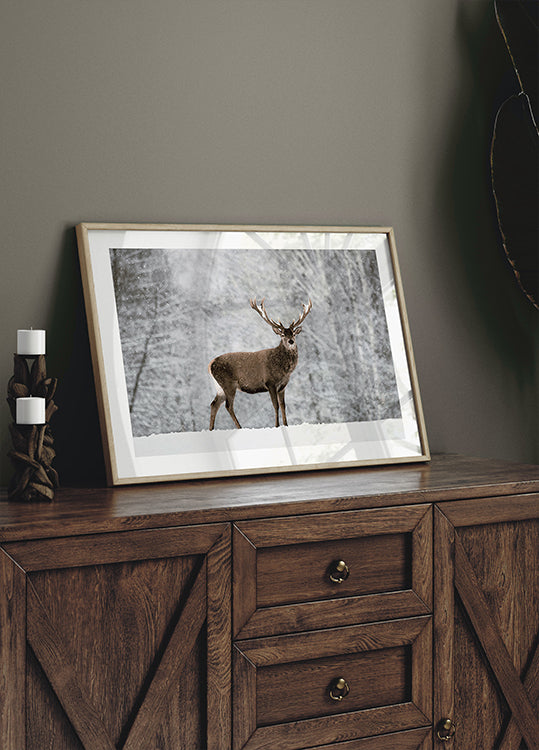 Majestic Deer in Snowy Forest Poster - Posterbox.dk