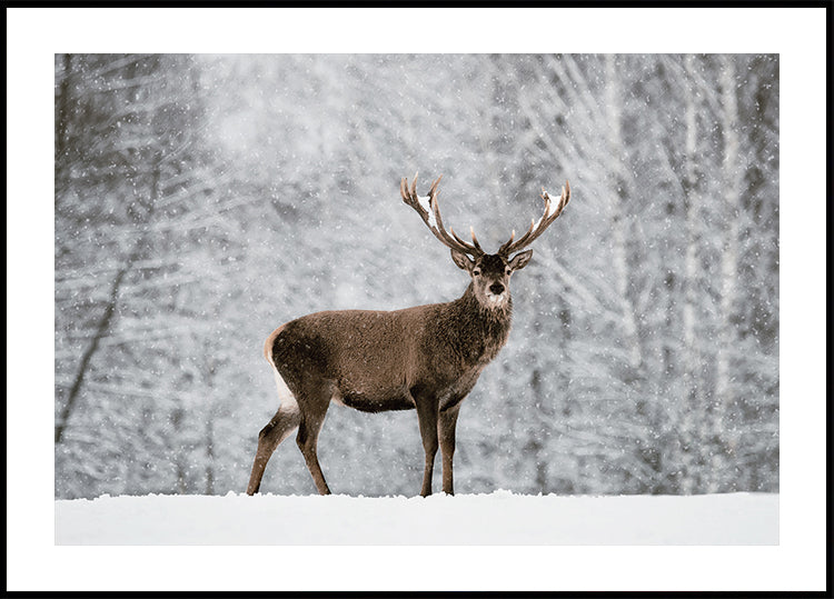 Majestic Deer in Snowy Forest Poster - Posterbox.dk