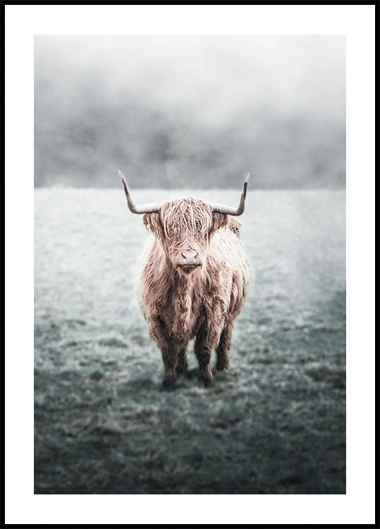Majestic Highland Cow in Misty Field Poster - Posterbox.dk