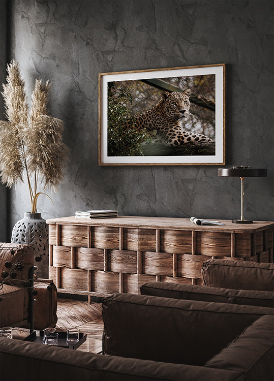 Majestic Leopard in the Wild Poster - Posterbox.dk