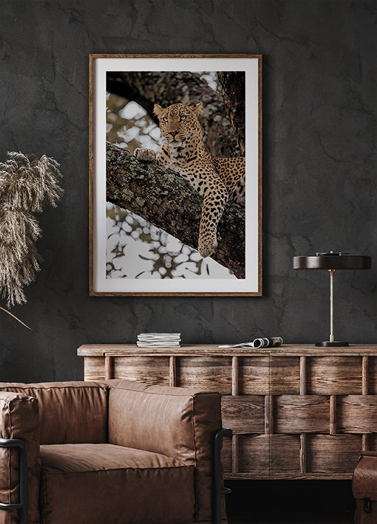 Majestic Leopard on a Tree Branch Poster - Posterbox.dk