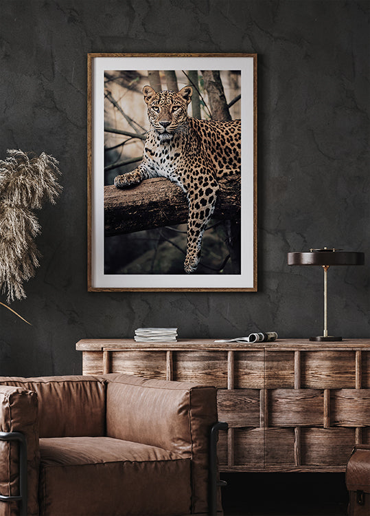 Majestic Leopard Resting on a Tree Poster - Posterbox.dk