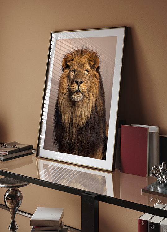 Majestic Lion Poster - Posterbox.dk