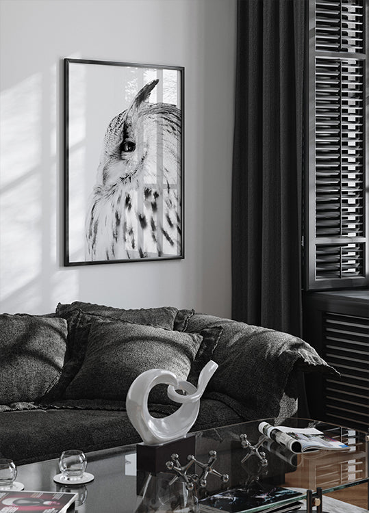 Majestic Owl Gaze Poster - Posterbox.dk