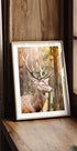 Majestic Red Deer Stag Poster - Posterbox.dk