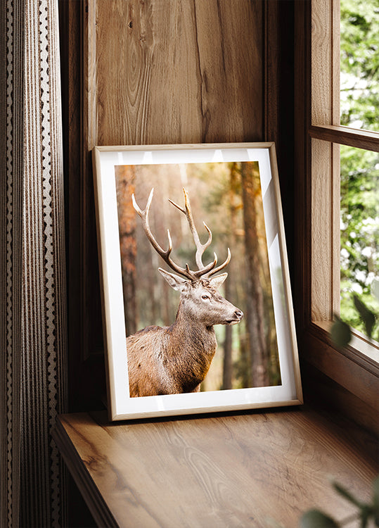 Majestic Red Deer Stag Poster - Posterbox.dk