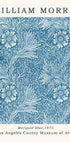 Marigold Blue Poster - Posterbox.dk