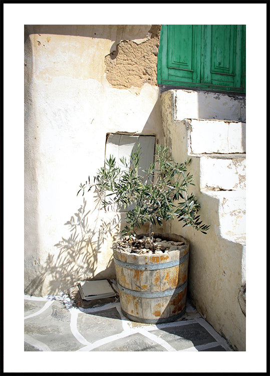 Mediterranean Olive Tree Entrance Poster - Posterbox.dk