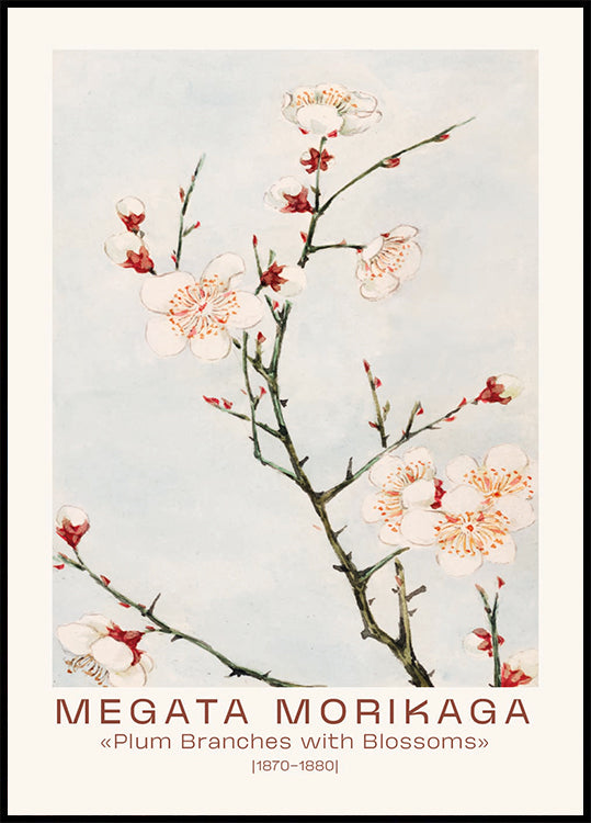Megata Morikaga, Plum Branches with Blossoms Poster - Posterbox.dk
