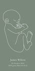 Minimalist Birth – Green Poster - Posterbox.dk