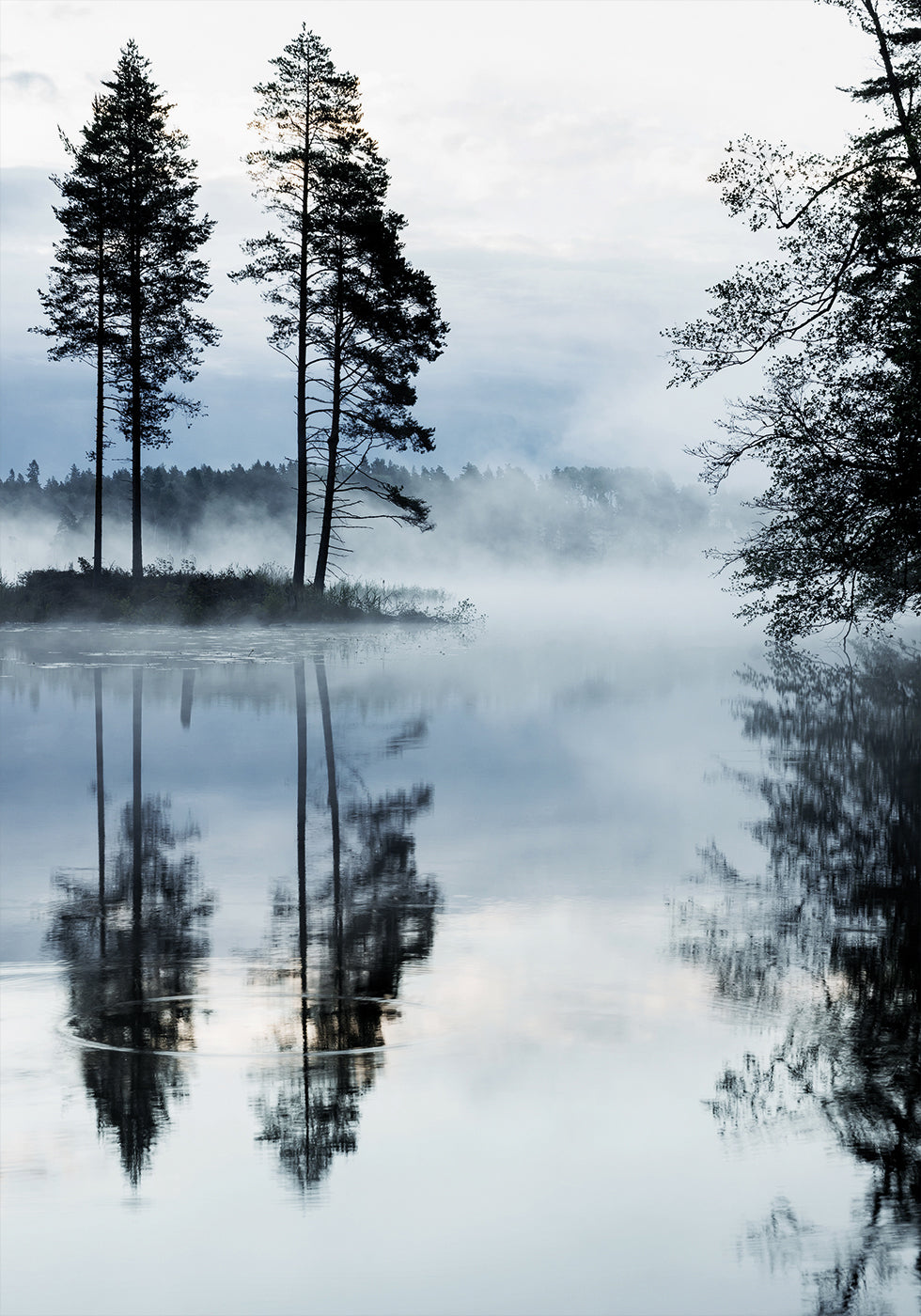 Misty Forest Morning Poster - Posterbox.dk