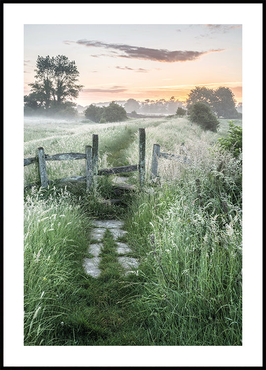 Misty Summer Dawn Poster - Posterbox.dk