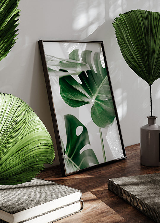 Monstera Leaves Poster - Posterbox.dk