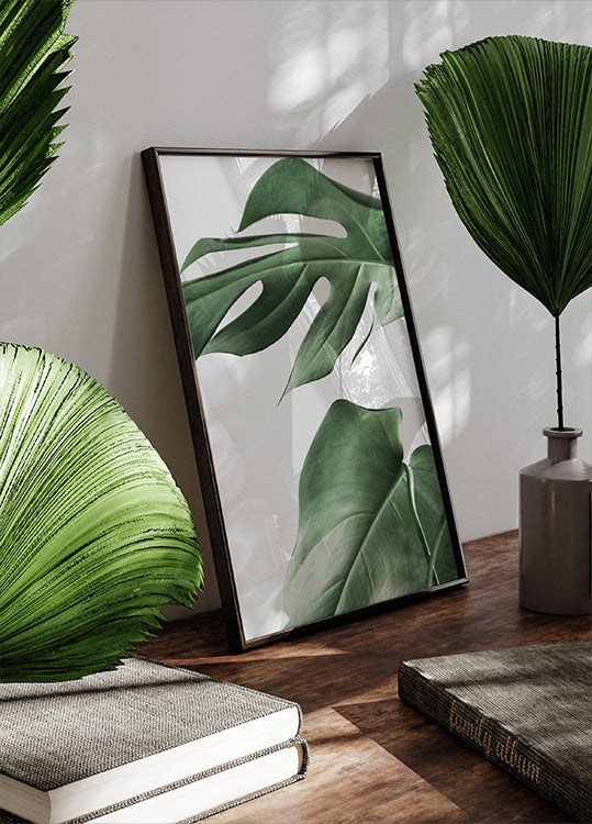 Monstera Leaves Poster - Posterbox.dk