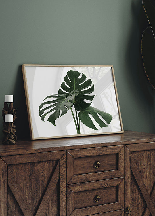 Monstera Plant №1 Poster - Posterbox.dk