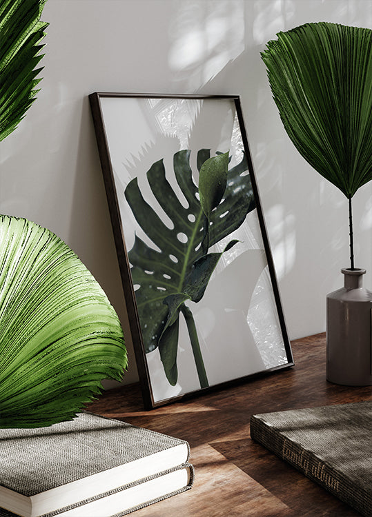 Monstera plant №1 Poster - Posterbox.dk
