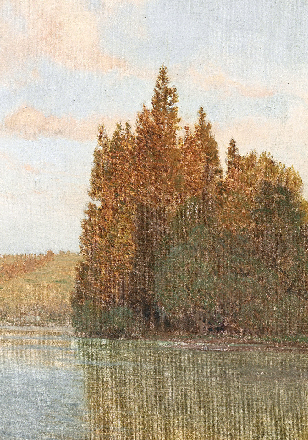 Morning Reflections Poster - Posterbox.dk