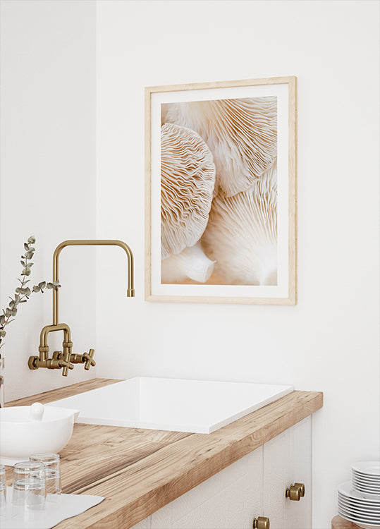 Mushrooms Close-Up Poster - Posterbox.dk