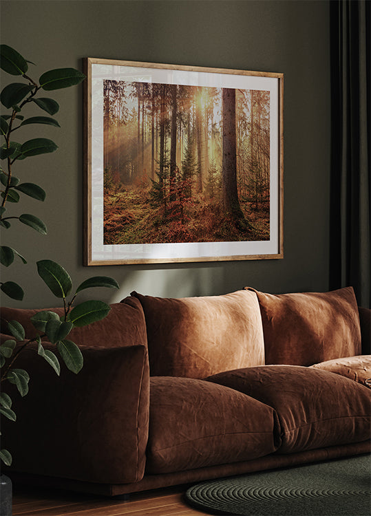 Mysterious Light of the Autumn Forest Poster - Posterbox.dk